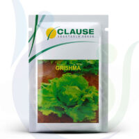 Clause-Vegetable-Seeds-Grishma-800X948.jpg