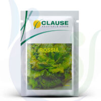 Clause-Vegetable-Seeds-Rossia-800X948.jpg