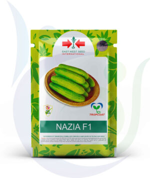 East West Seed Pouch NAZIA F1