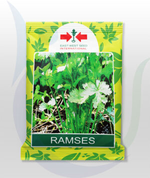 East West Seed Pouch Ramses