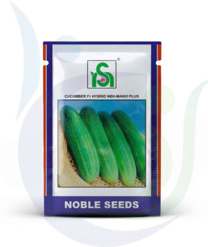 Noble Seeds Cucumber Manvi Plus