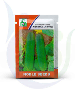 Noble Seeds Cucumber NBH Mamta 5002