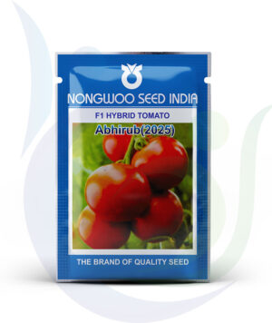 Nongwoo Seed Abhirub (2025) F1 Hybrid Tomato