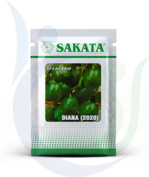 Sakata Pouch Diana 2020
