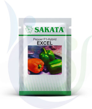 Sakata Pouch Excel