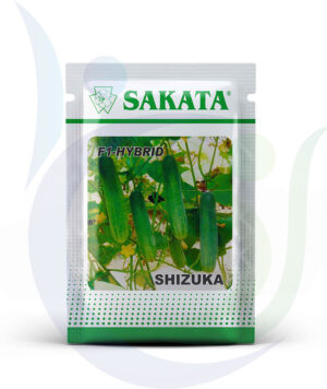 Sakata Pouch Shizuka