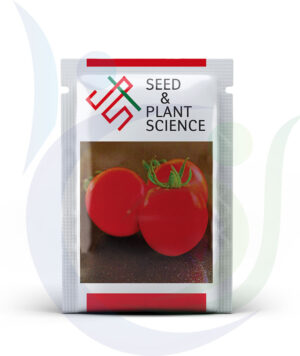 Seed and Plant Sceiene F1 HYB 506 Tomato