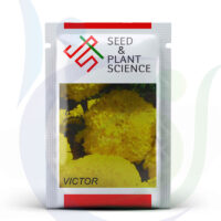 Seed-Plant-Sciene-Pouch-Victor-800X948.jpg