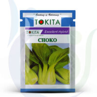 Tokita-Seeds-Choko-Hybrid-800X948.jpg
