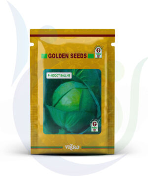 Virgo Golden Seeds F1 Goody Ball 65