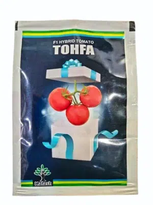TOMATO Tohfa F1